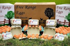 Boxes-Edited-with-logos-scaled