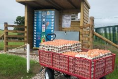 Picture9-e1614183013439